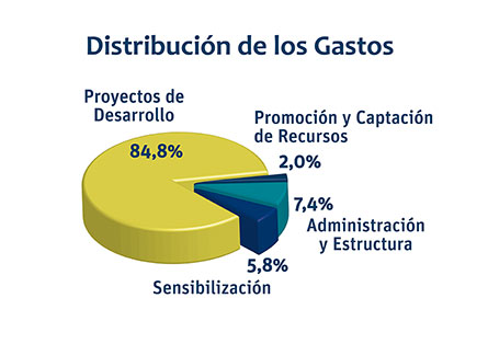 Memoria 2013_Distribución de gastos_Manos Unidas