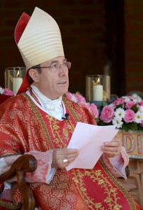 homilia_arzobispo_pamplona_jornada_mariana_familia_torreciudad