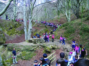 narnia111